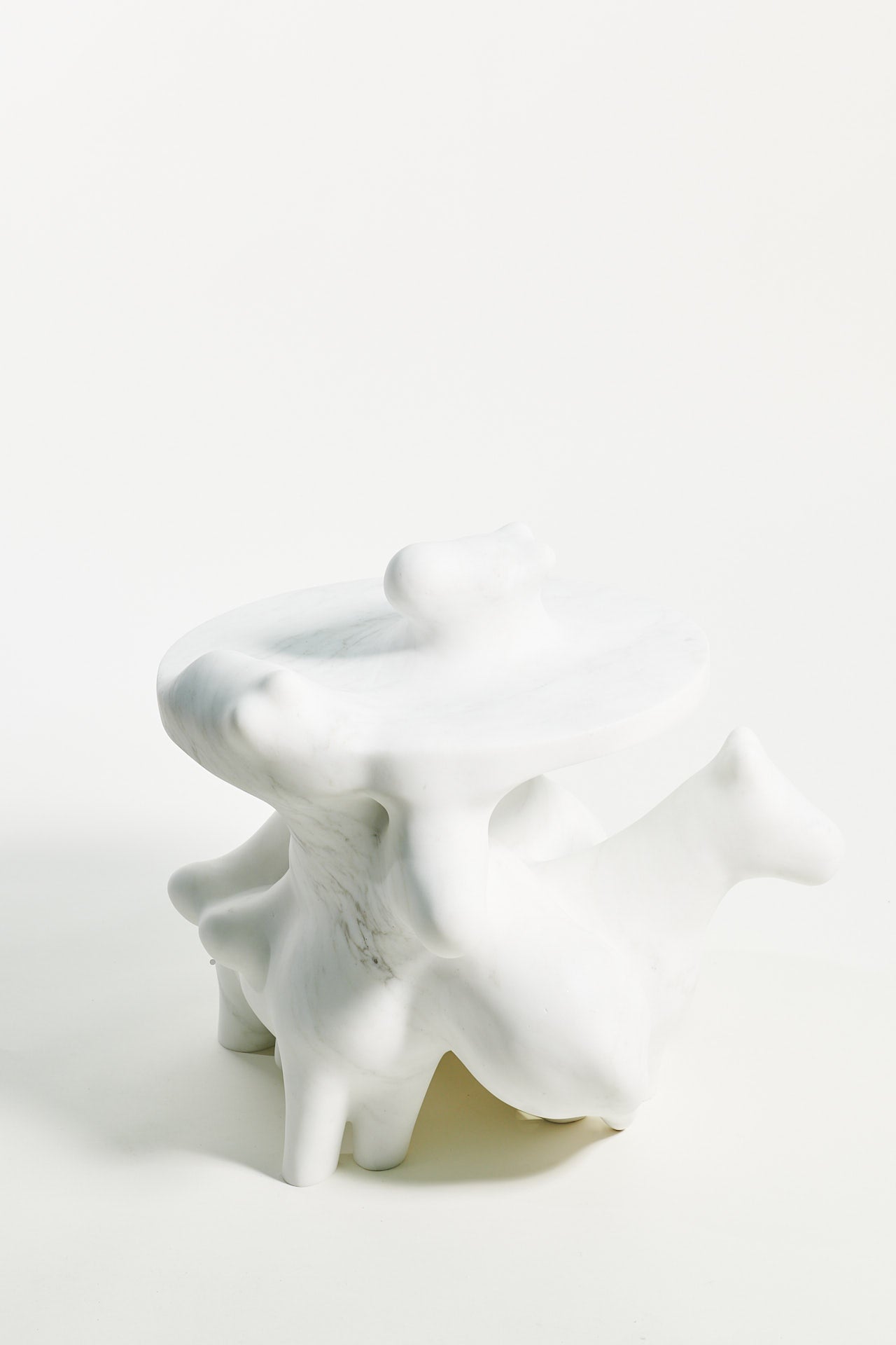 MORPH HORSIES