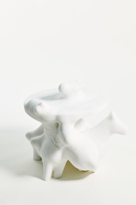 MORPH HORSIES