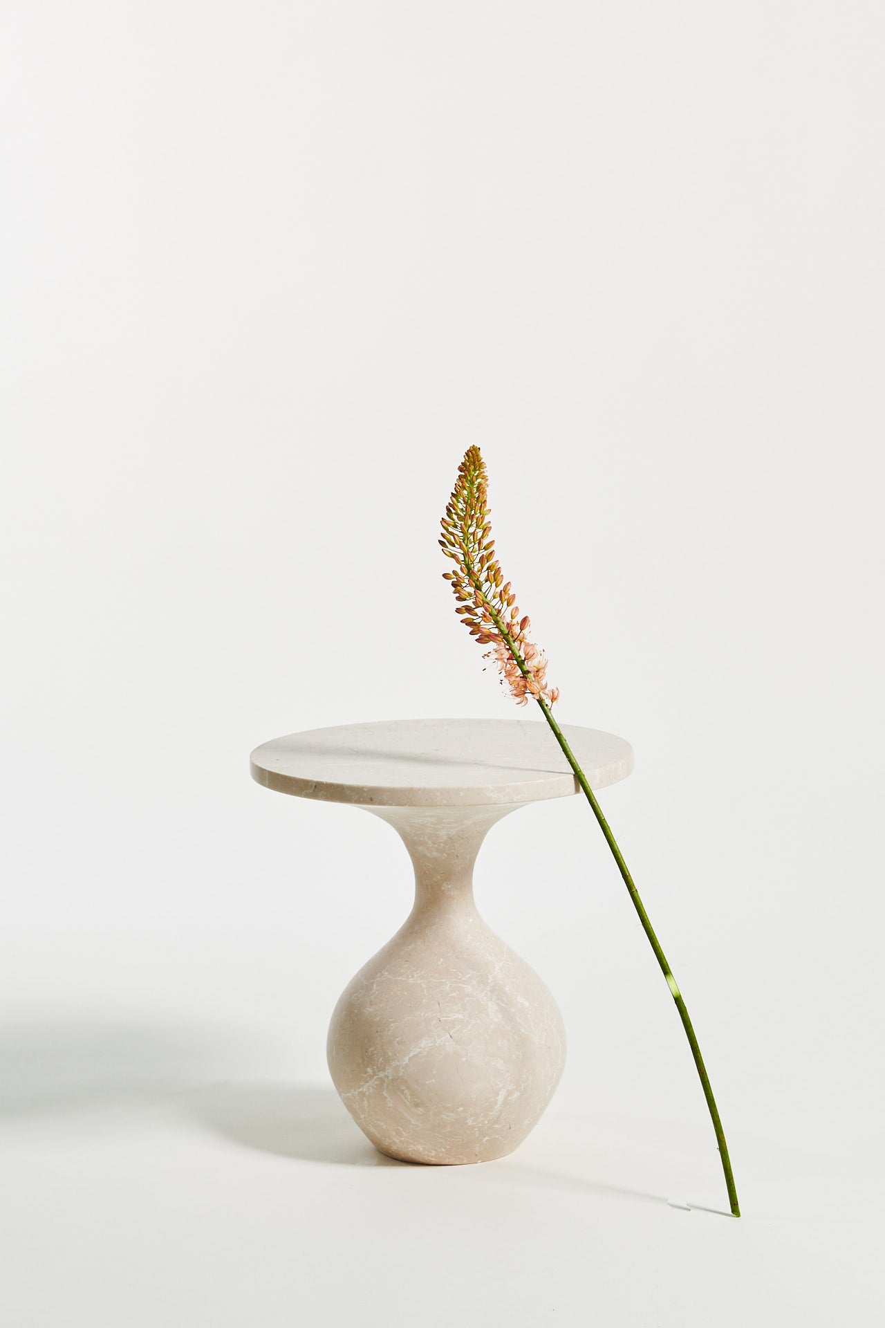 ORBIS TABLE